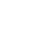 Логотип D4S